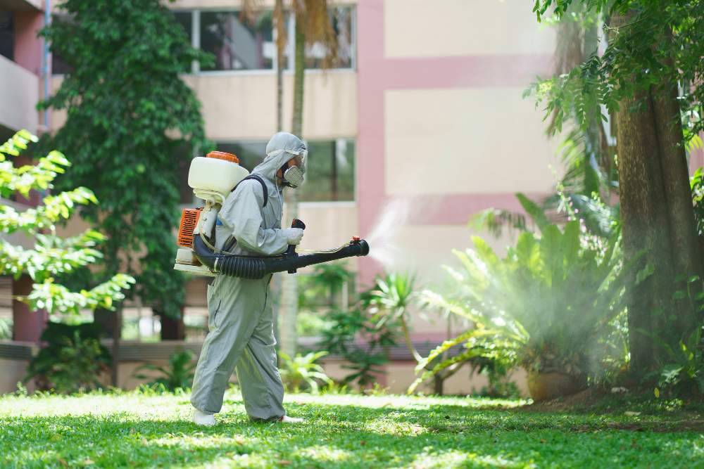 Mosquito Control