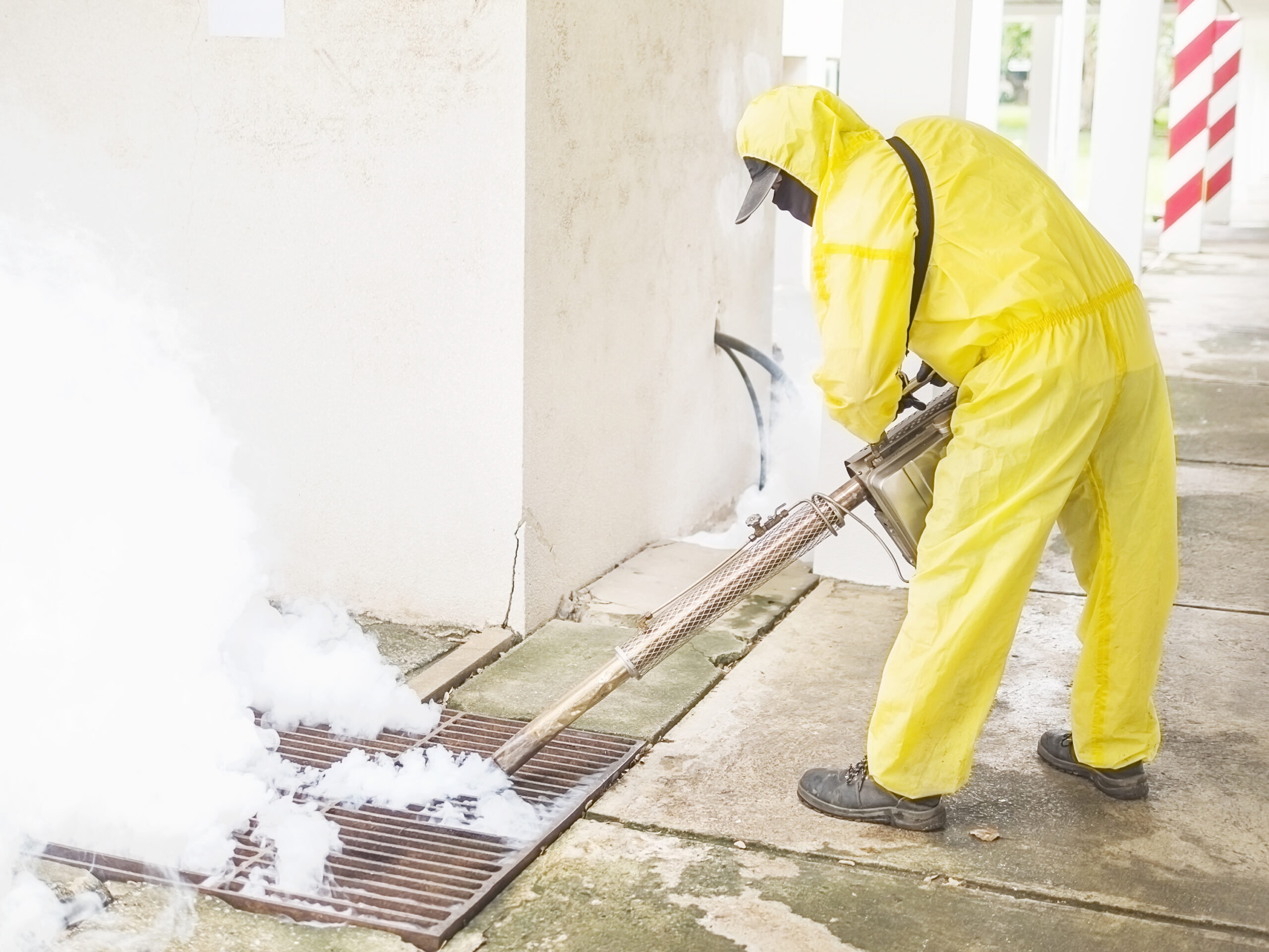 Pest Control