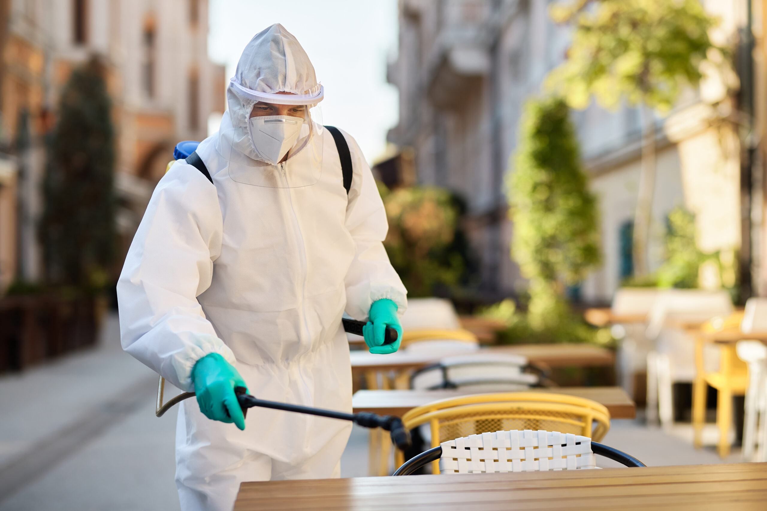 How Pest Infestations